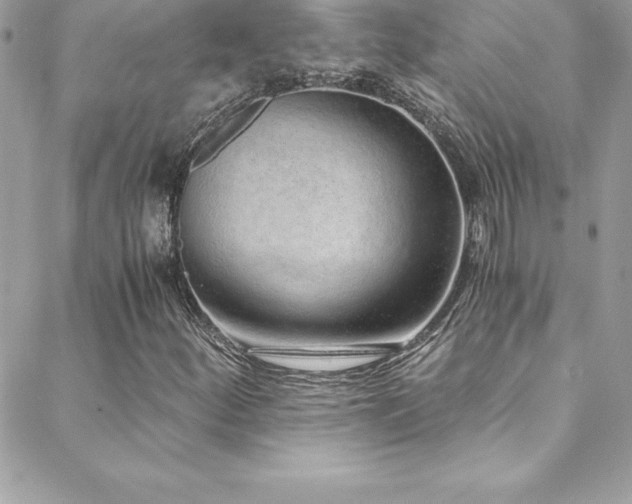 X0000088841252200706071411