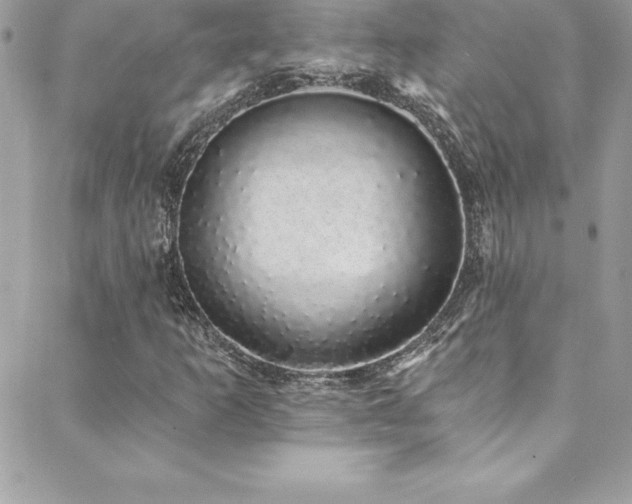 X0000088841253200706071411