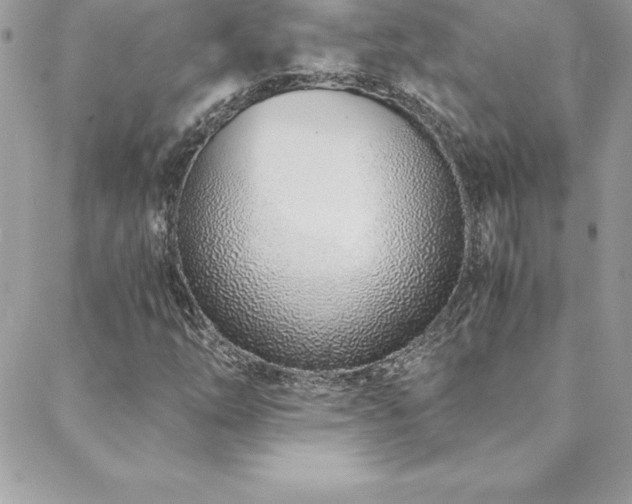 X0000088841254200706071411