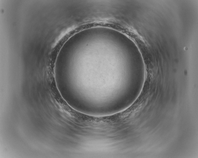 X0000088841256200706071411