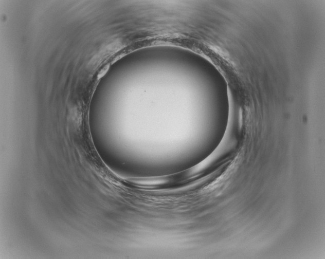 X0000088841257200706071411