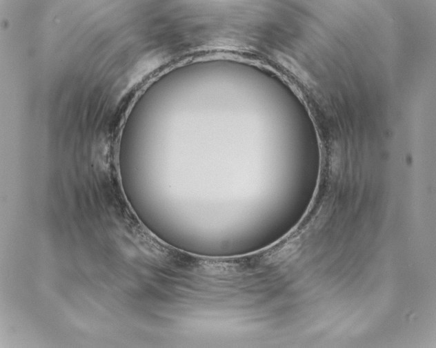 X0000088841258200706071411