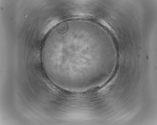 X0000088841259200706071411