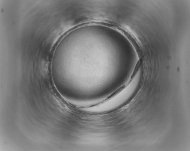 X0000088841260200706071411