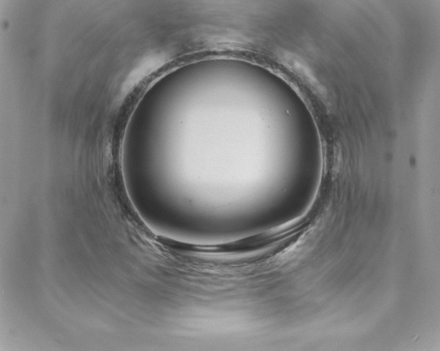 X0000088841261200706071411