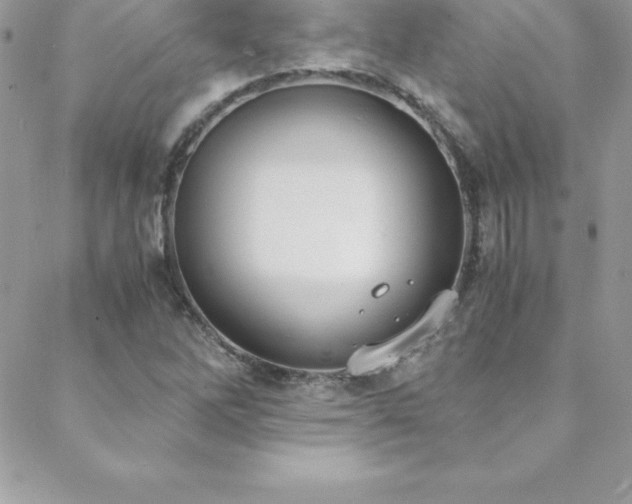 X0000088841262200706071411