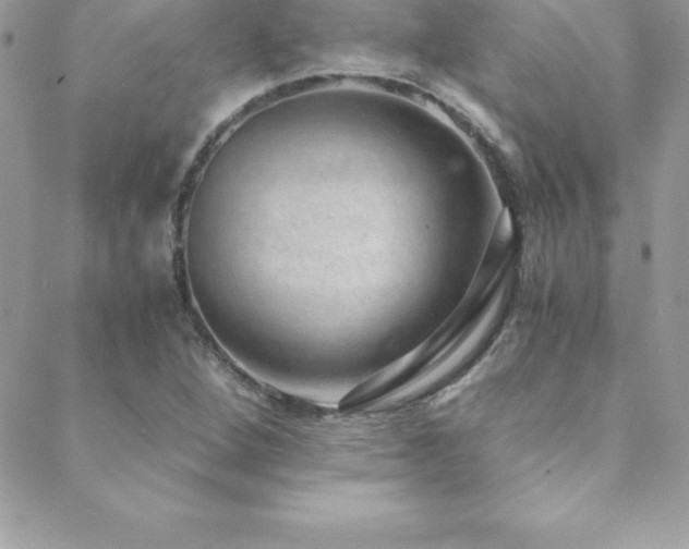 X0000088841264200706071411