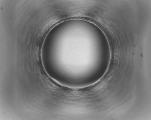 X0000088841265200706071411