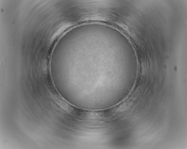 X0000088841266200706071411