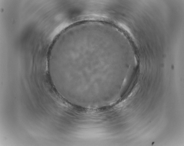 X0000088841267200706071411