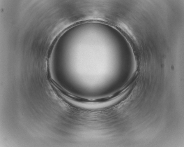 X0000088841268200706071411