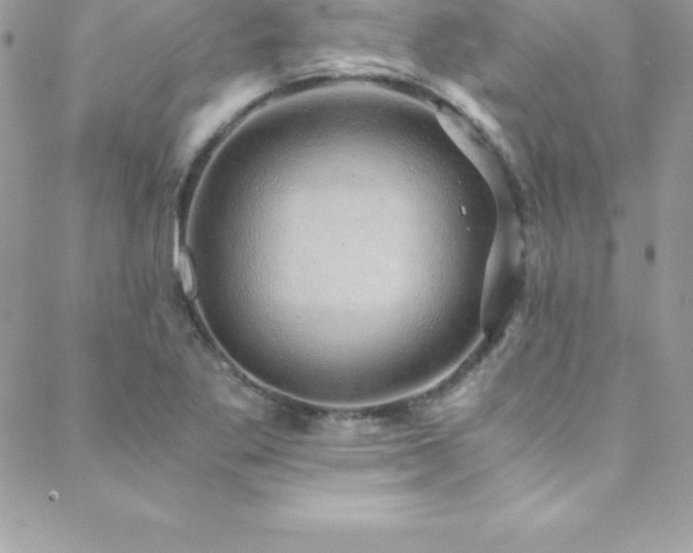 X0000088841269200706071411