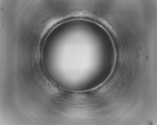 X0000088841270200706071411