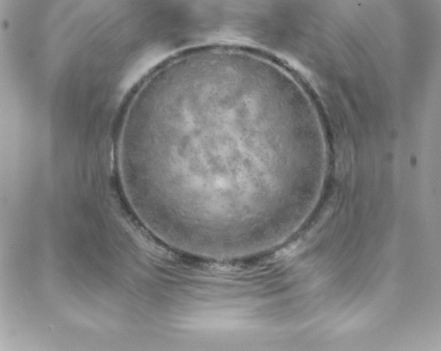 X0000088841271200706071411