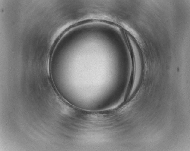 X0000088841272200706071411