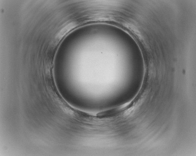 X0000088841273200706071411