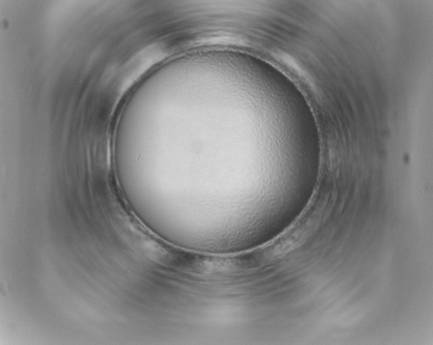 X0000088841274200706071411