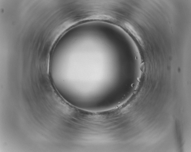 X0000088841276200706071411