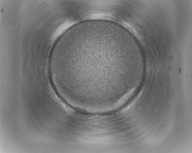 X0000088841277200706071411