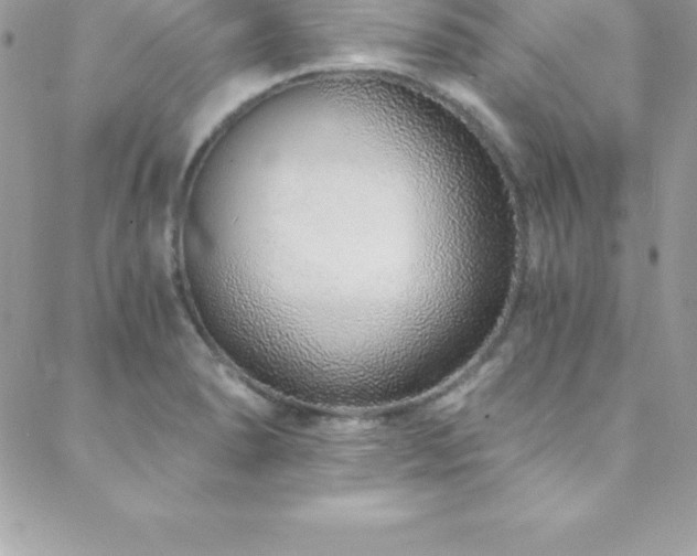 X0000088841278200706071411