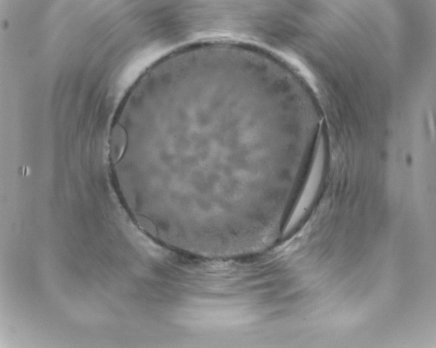 X0000088841279200706071411