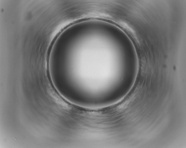 X0000088841280200706071411