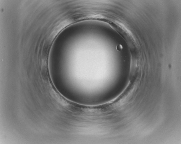 X0000088841281200706071411