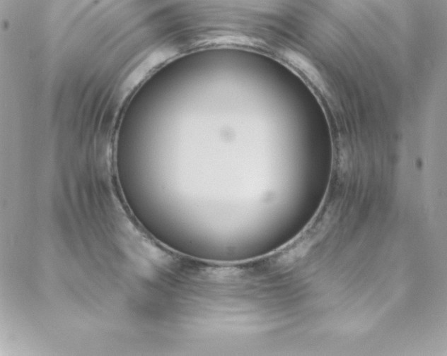 X0000088841282200706071411