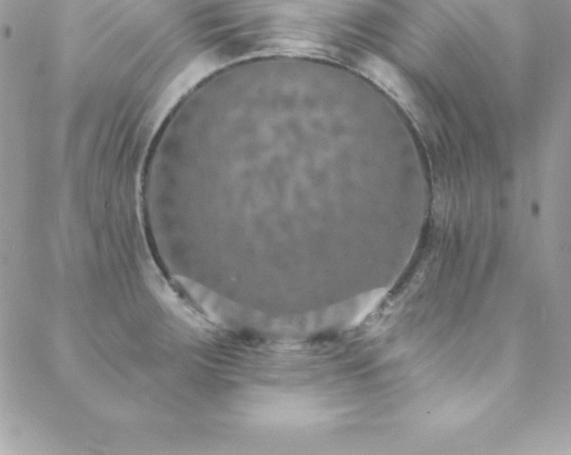 X0000088841283200706071411