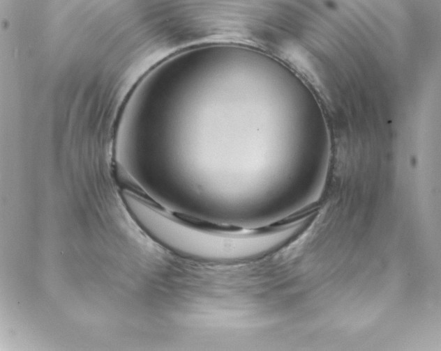 X0000088841284200706071411