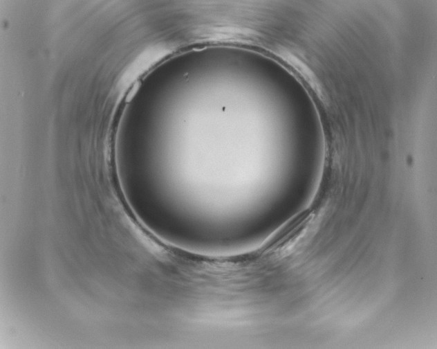 X0000088841285200706071411