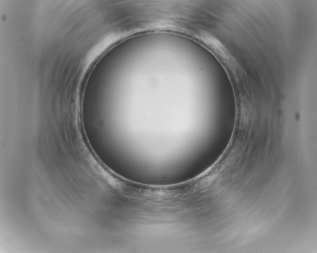 X0000088841286200706071411