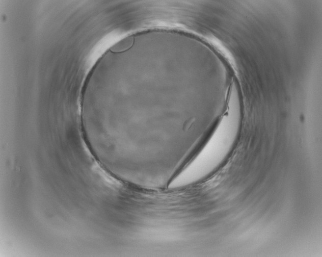 X0000088841287200706071411