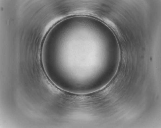 X0000088841288200706071411