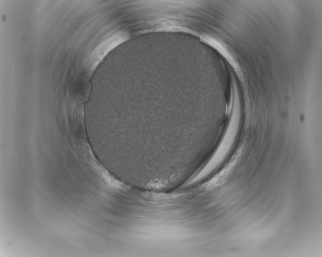 X0000088841289200706071411