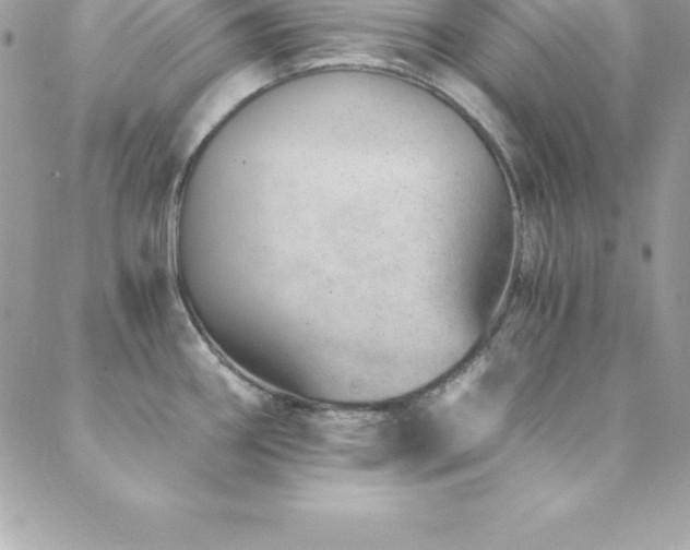 X0000088841290200706071411