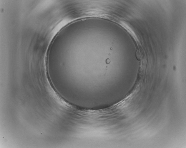 X0000088841291200706071411