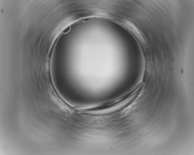 X0000088841292200706071411