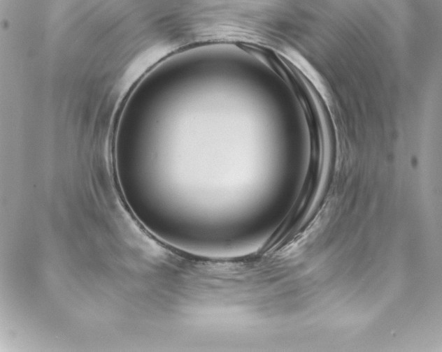 X0000088841293200706071411