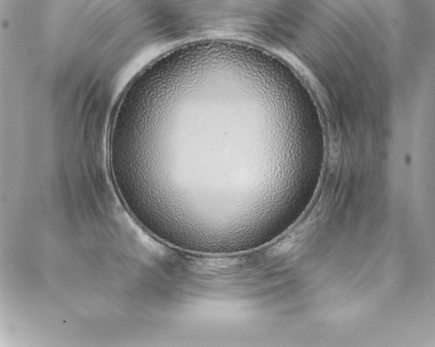 X0000088841294200706071411