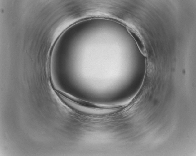 X0000088841295200706071411