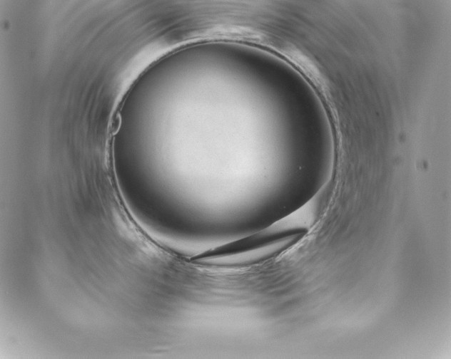 X0000088841296200706071411