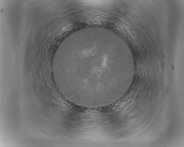 X0000088841297200706071410