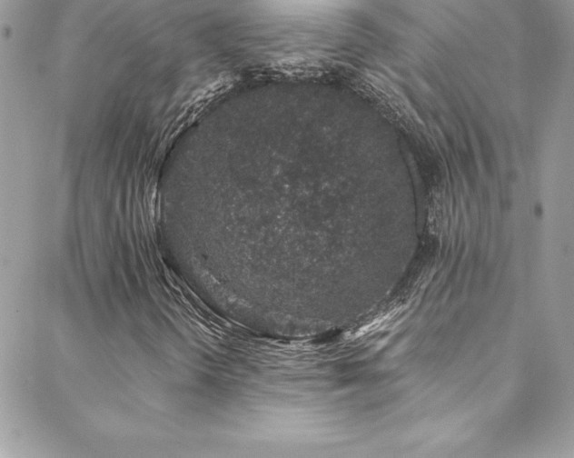 X0000088841298200706071410