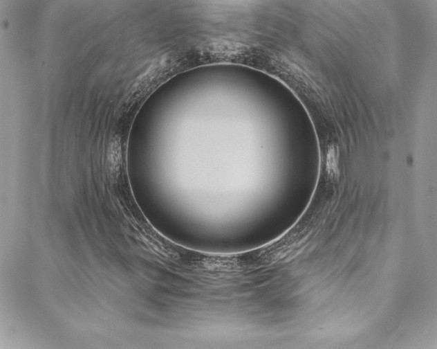 X0000088841299200706071410