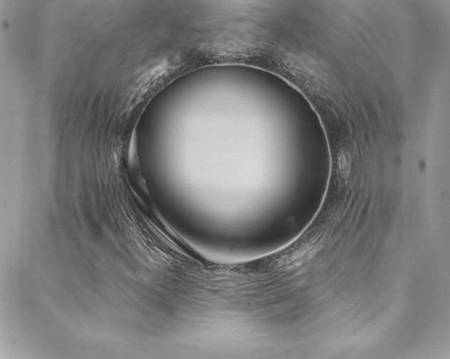 X0000088841300200706071410