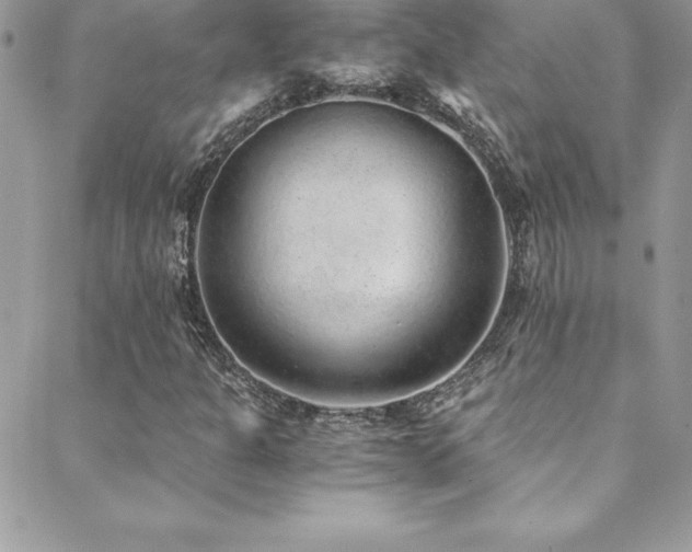 X0000088841301200706071410