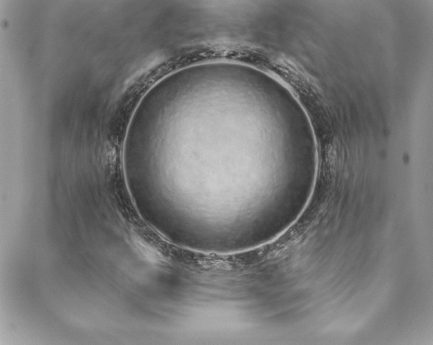 X0000088841302200706071410