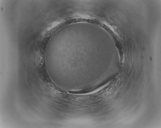 X0000088841303200706071410