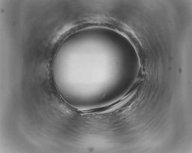 X0000088841304200706071410